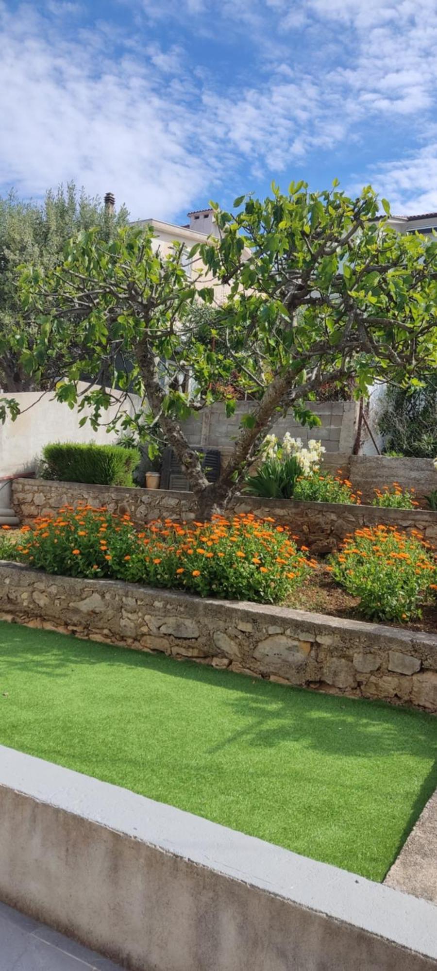 Apartmani Mataija Sveti Petar  Ngoại thất bức ảnh